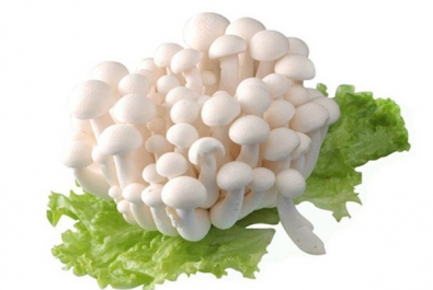 开发区白玉菇