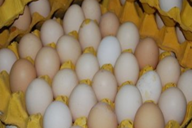 开发区鸡蛋